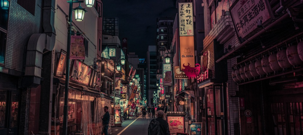 Top Things That Make Your Japan Travel Visa Application Denied
